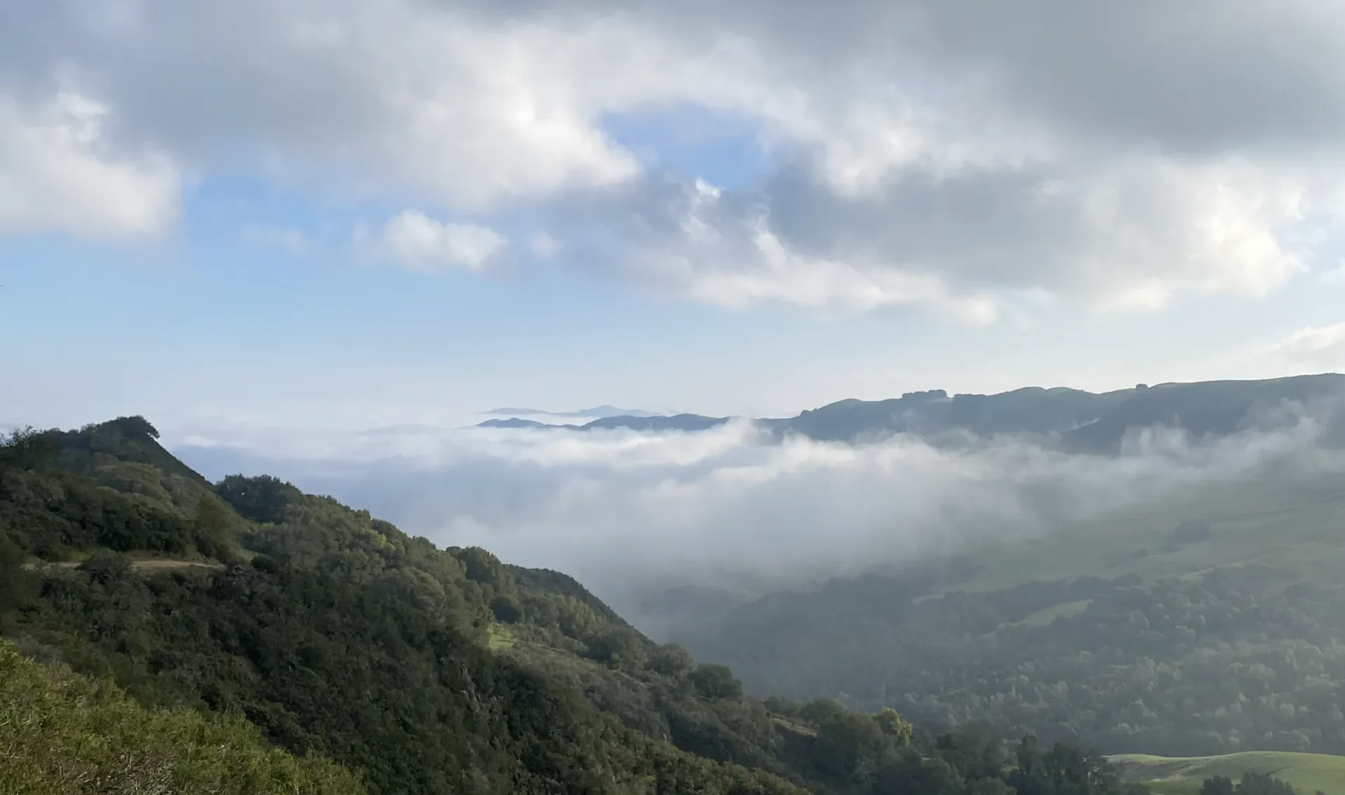 Fog moving up Bollinger Canyon in the hills near San Ramon, California