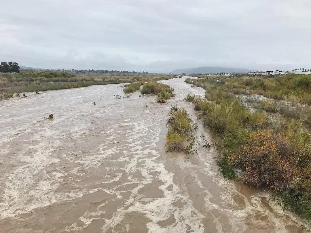 The Santa Clara River flowing past brush and levees near RiverPark in Oxnard