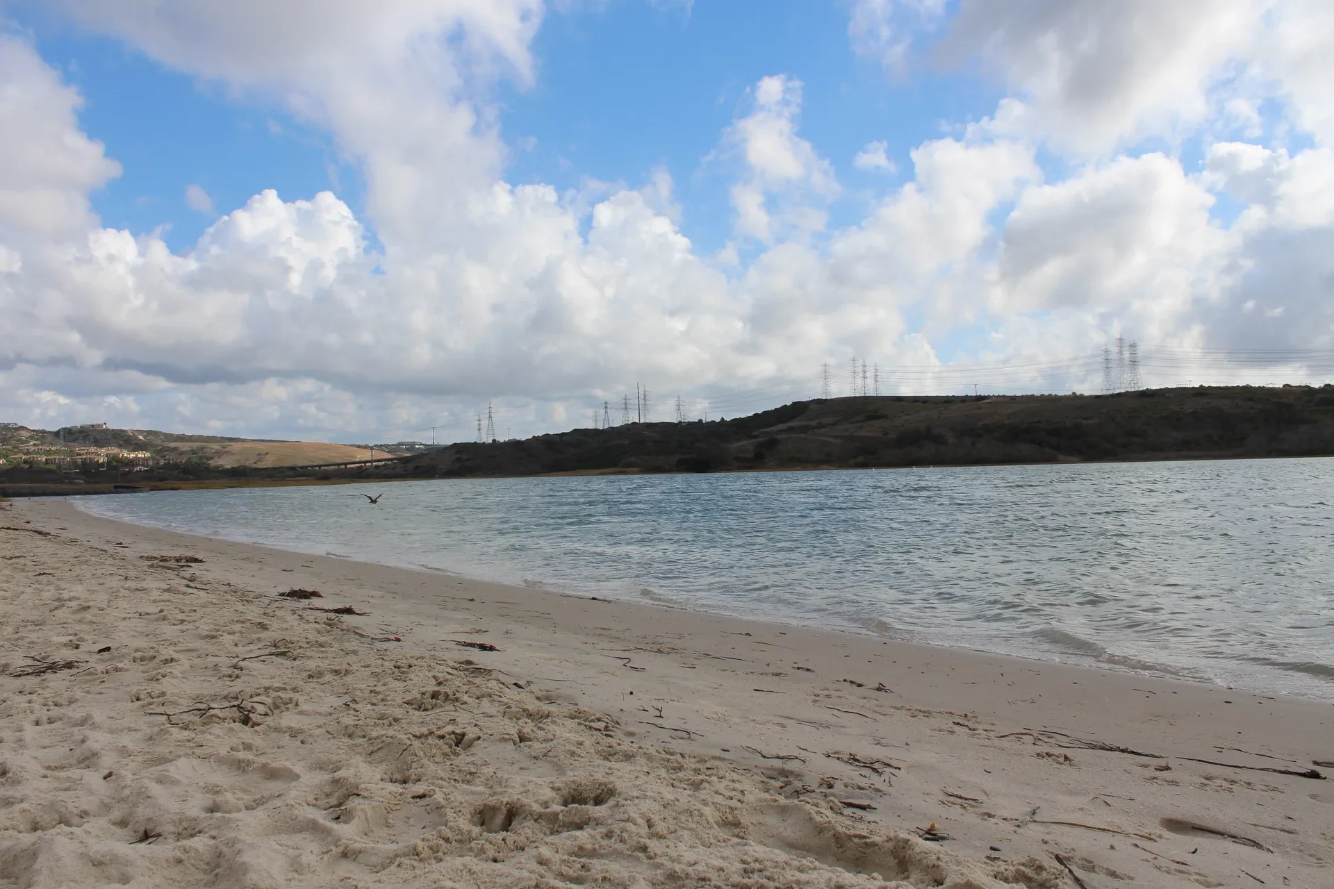 Sandy shore and water at Agua Hedionda Lagoon in Carlsbad, near Robertson Ranch