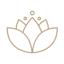 Beauty illustration