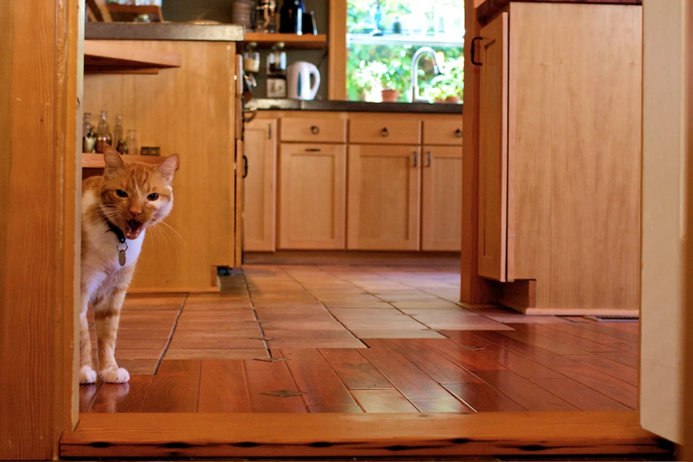 SE Tabor Kitchen, photo 12