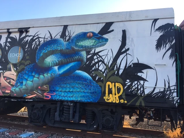 Graffiti mural of a blue viper coiled among black plants on a white train car