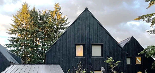 Dark-gabled Birdsmouth house surrounded by trees