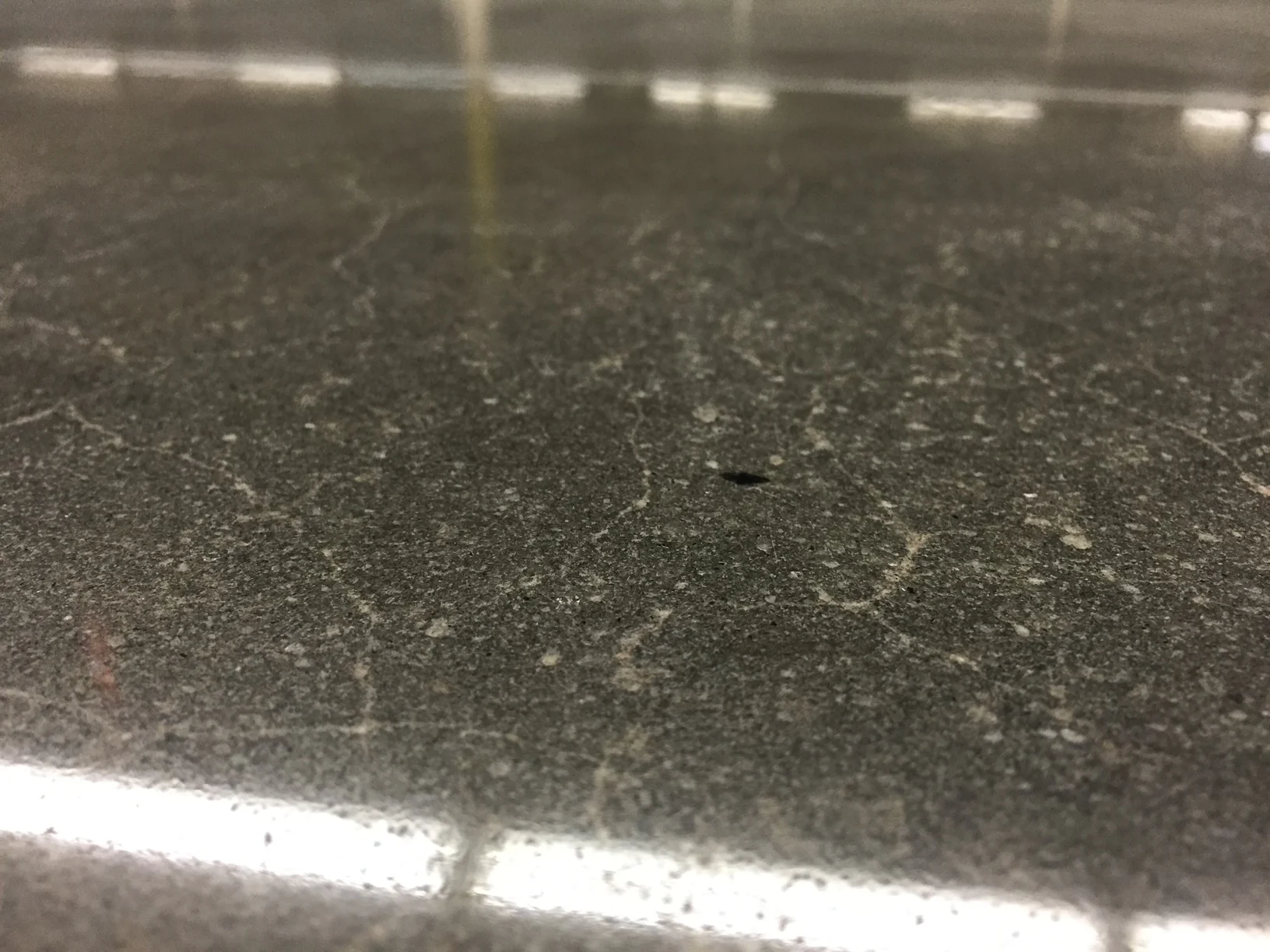Close-up of a reflective gray concrete floor with visible aggregate