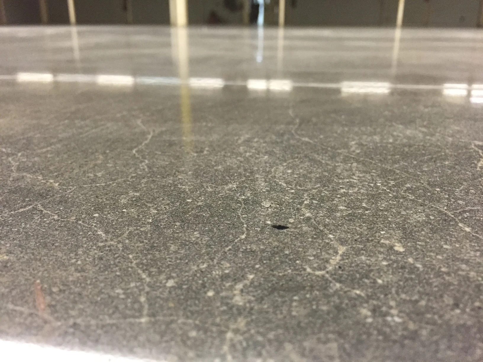 Low-angle view of a gray concrete floor reflecting overhead lights