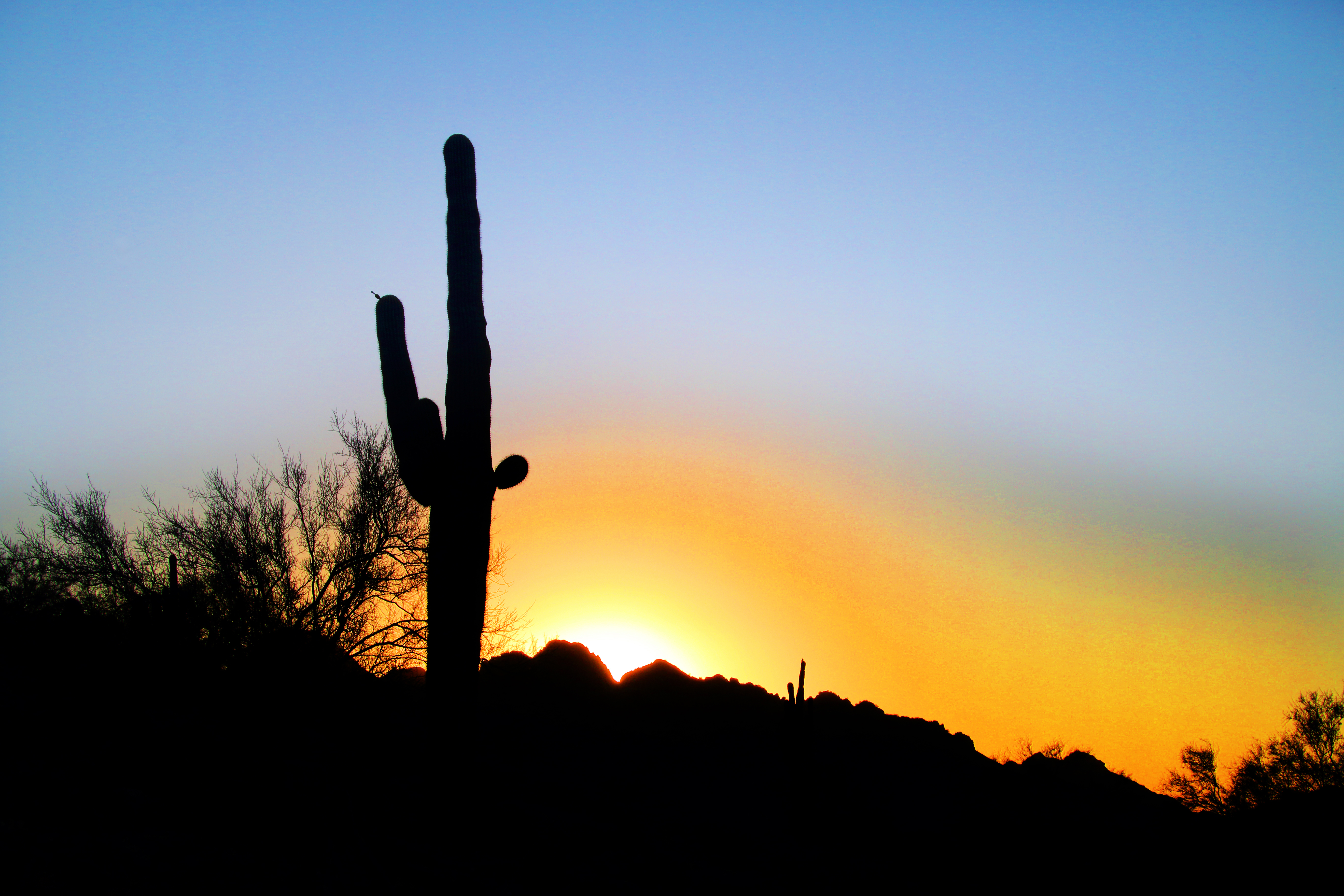 Phoenix, Arizona