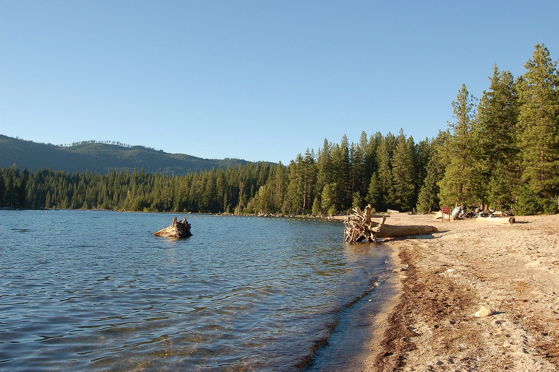 Sandy beach and forested shore at Lake Wenatchee State Park