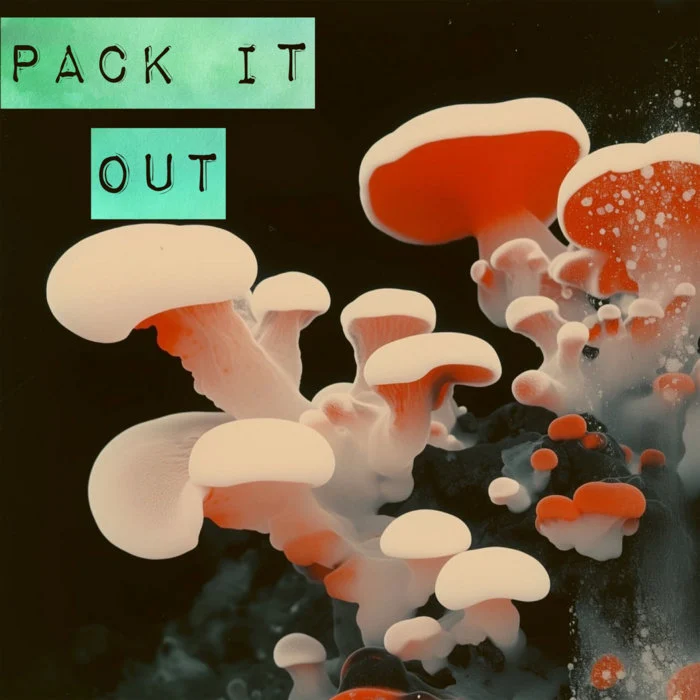 Pack It Out - EP cover art