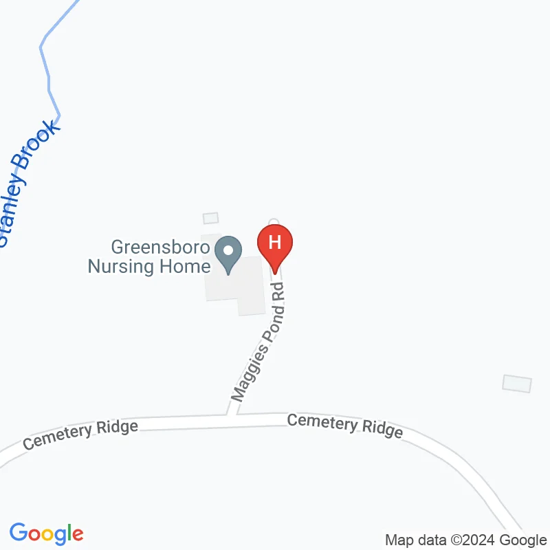 Greensboro Nursing Home - 47 Maggies Pond Rd