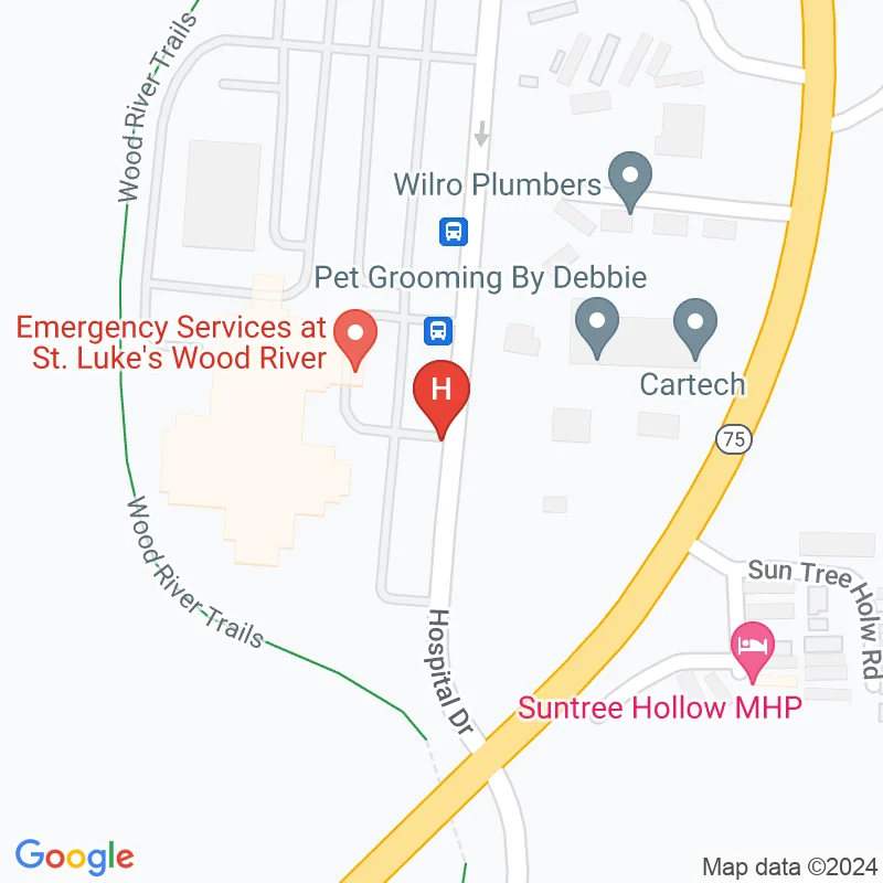 St Luke'S Wood River Medical Center - 100 Hospital Dr