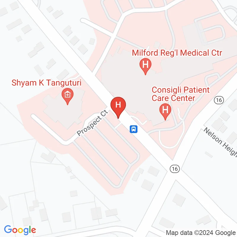 Milford Regional Medical Center - 14 Prospect St
