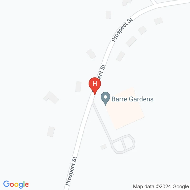 Barre Gardens Nursing and Rehab Llc - 378 Prospect St