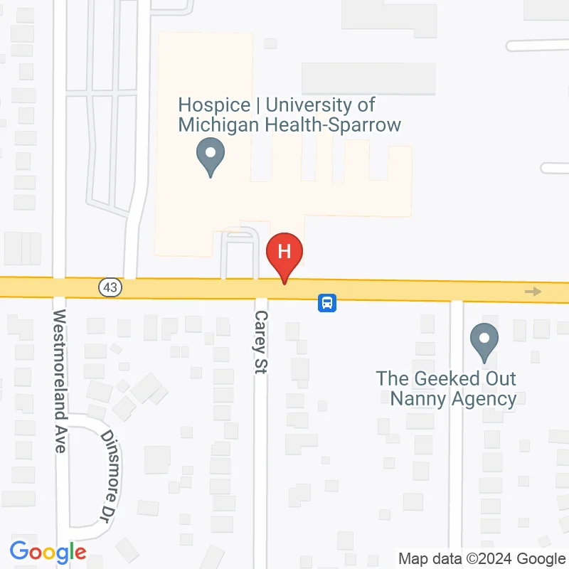 Sparrow Hospice Services - 1210 W Saginaw St