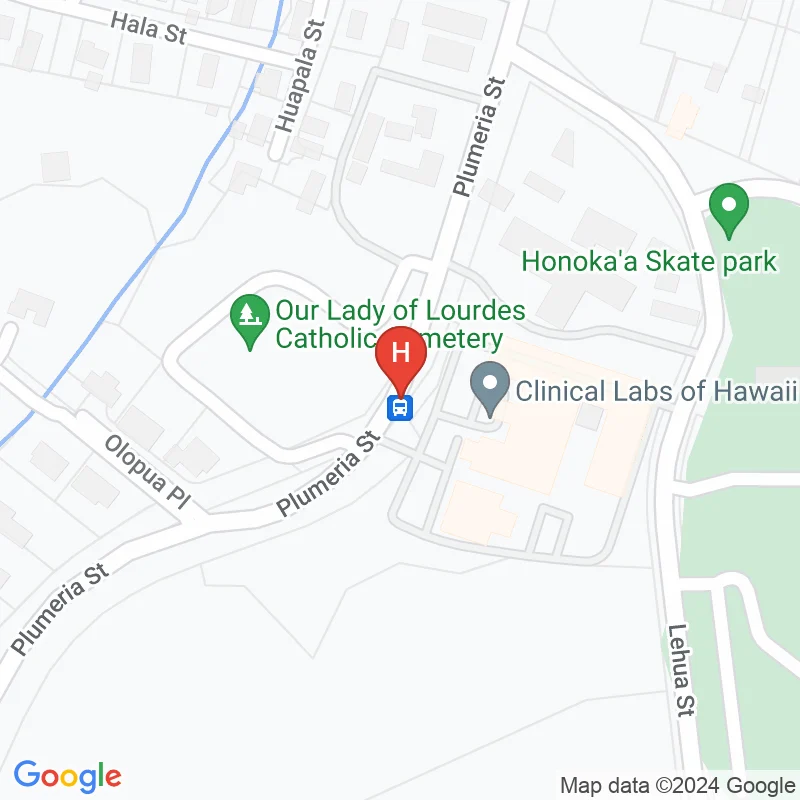 Hale Ho'Ola Hamakua - 45-547 Plumeria St