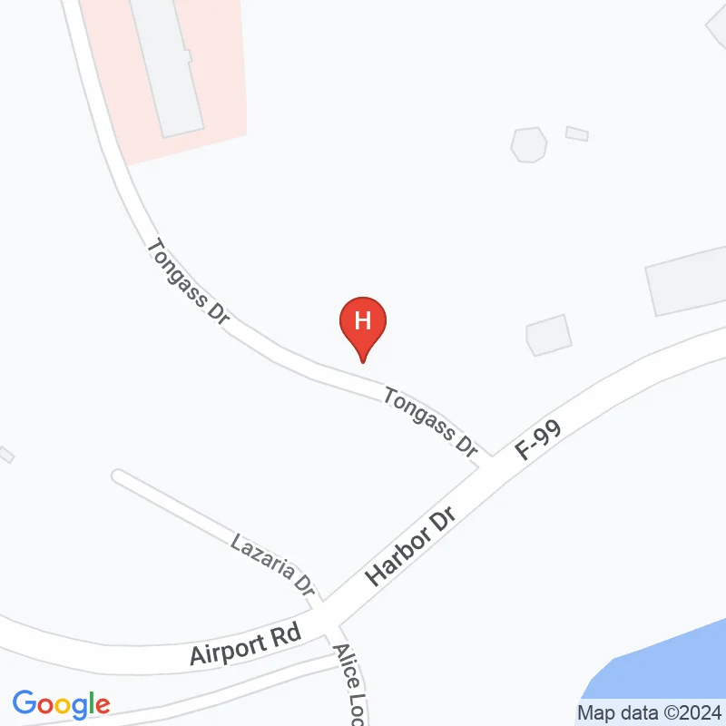 Mt Edgecumbe Hospital - 222 Tongass Dr