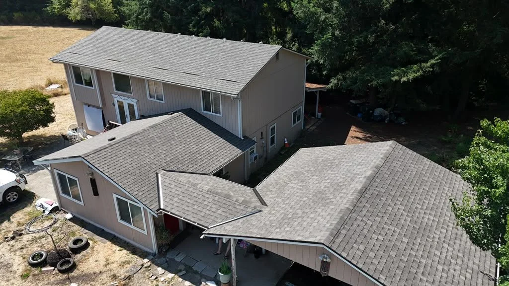 How Evergreen Canopy and Trapped Needles Shortened an Olympia Roof's Lifespan