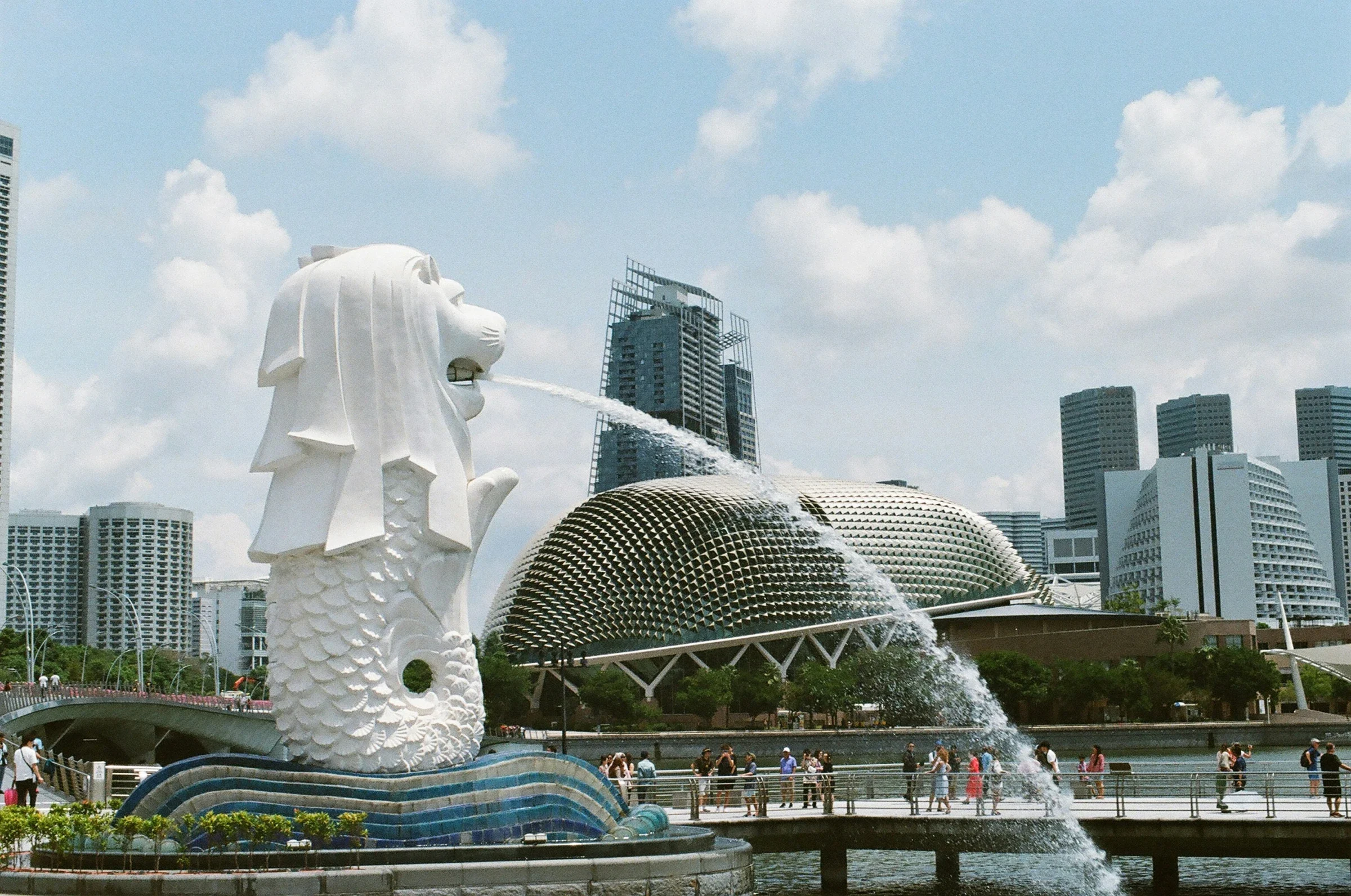 Singapore skyline and Merlion