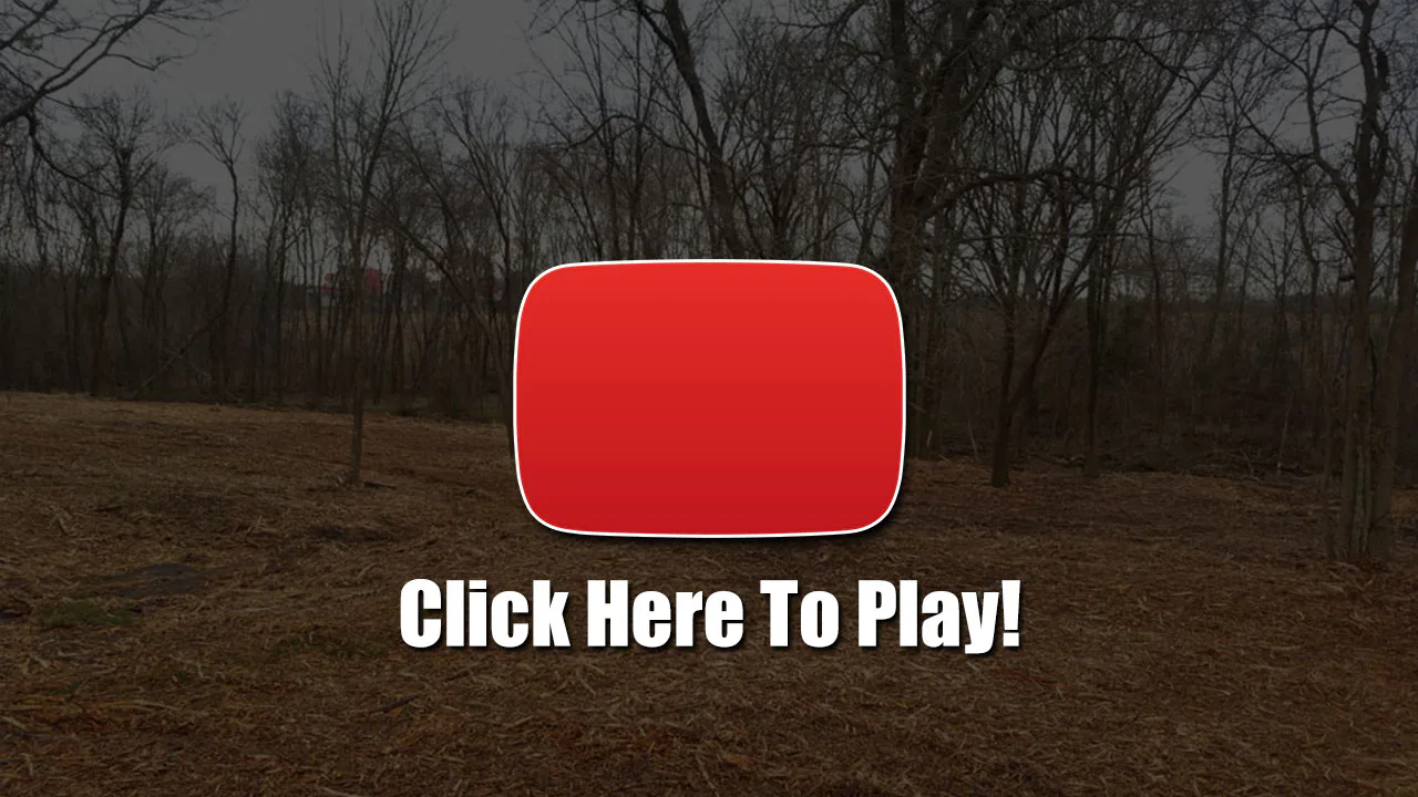 Creek & Fence-Line Cleanup in Texas