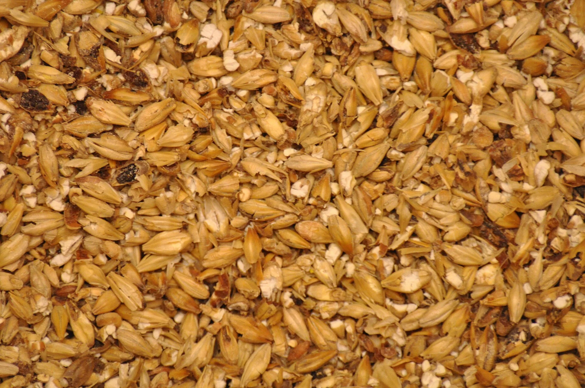 Illustrative photograph: Milled Malted Barley