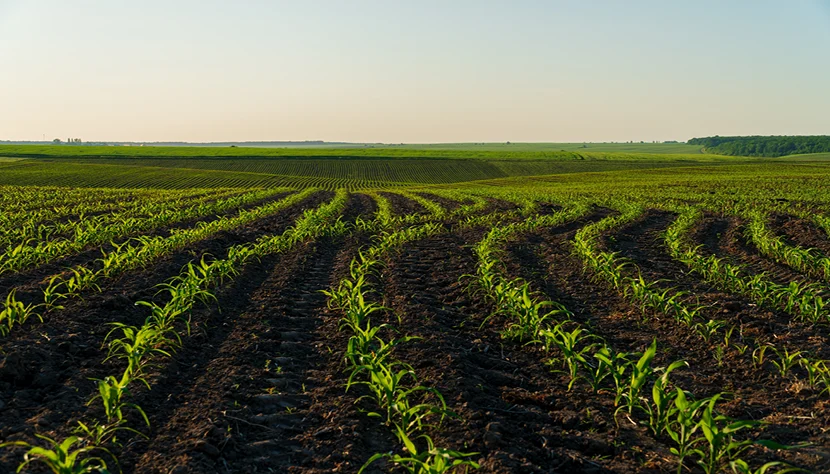 AgSouth Farm Credit case study farm landscape