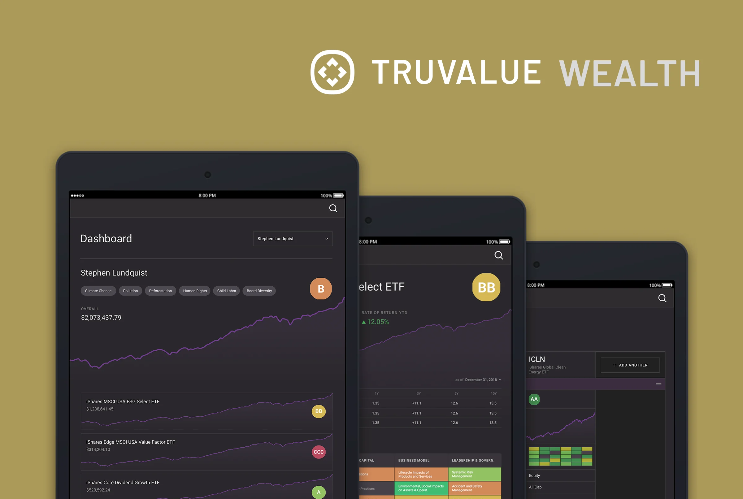 Truvalue Wealth project preview