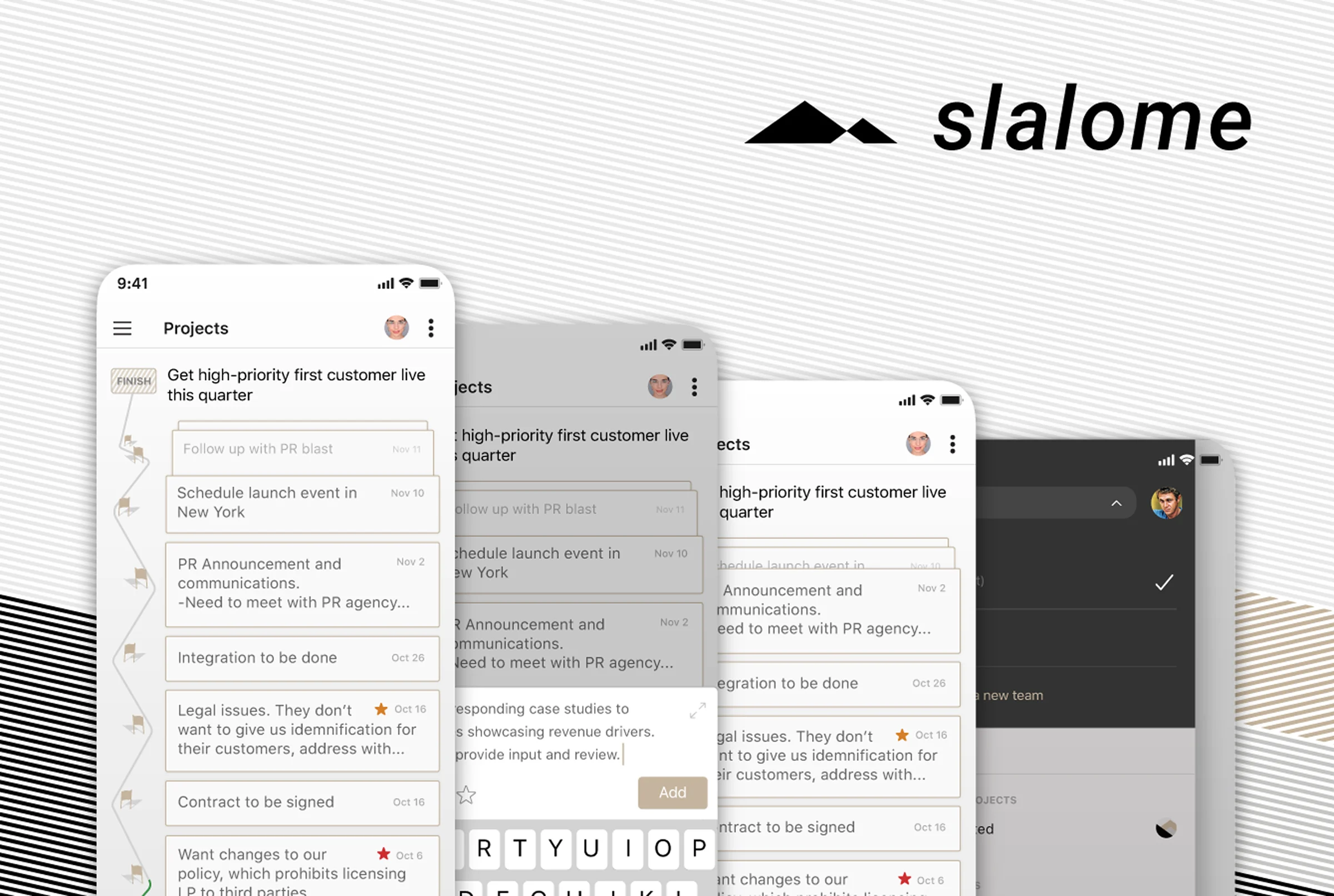 Slalome project preview