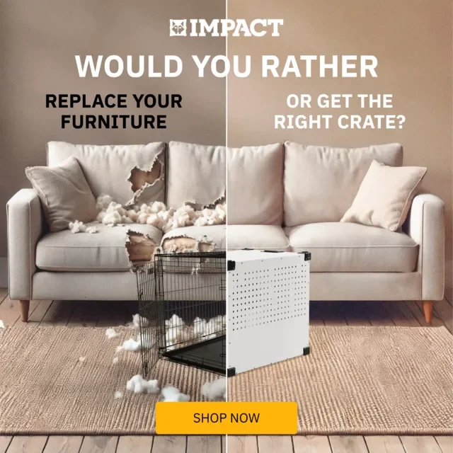 Impact Dog Crates ad