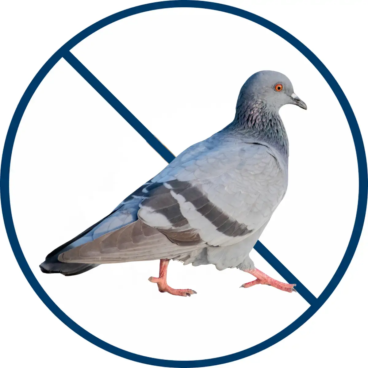 birds icon
