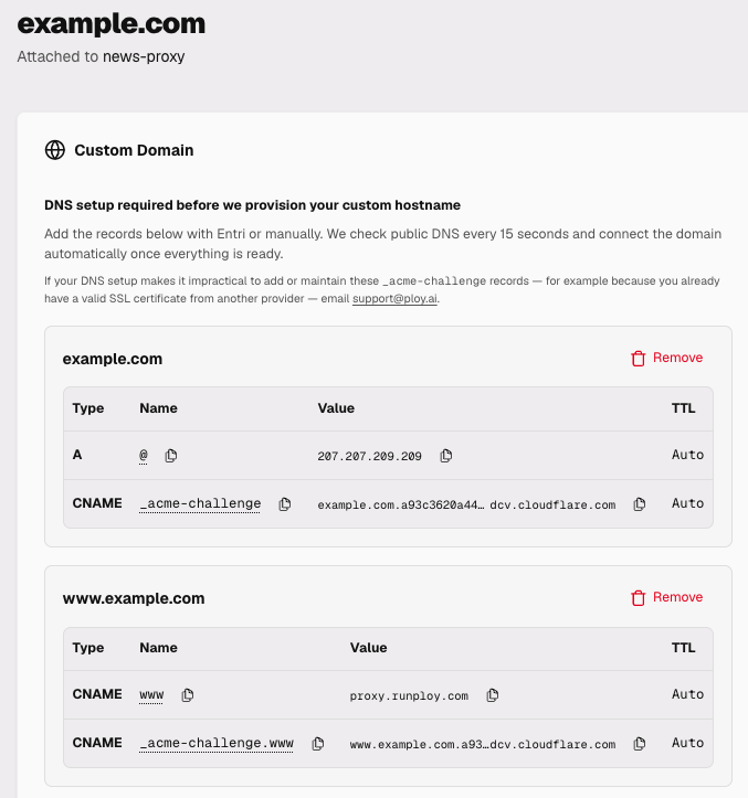 Domain setup screen showing required DNS records for example.com and www.example.com