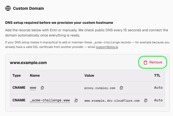 DNS setup screen showing the Remove button on a pending www.example.com domain row