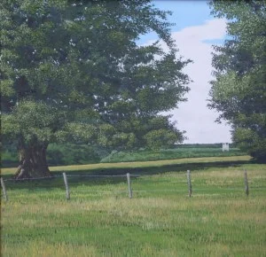 dedhamoak[2968]