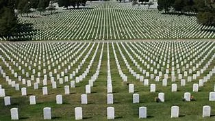 A Full Remembrance Day Reflection