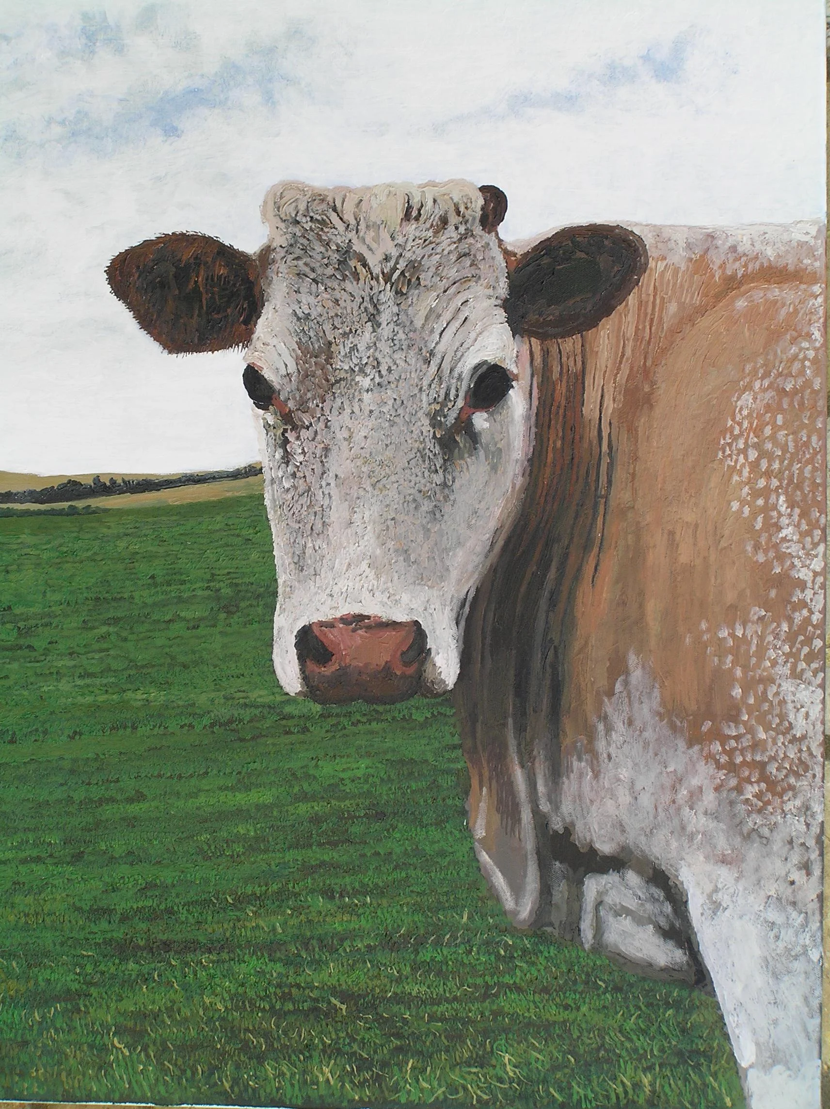 cow