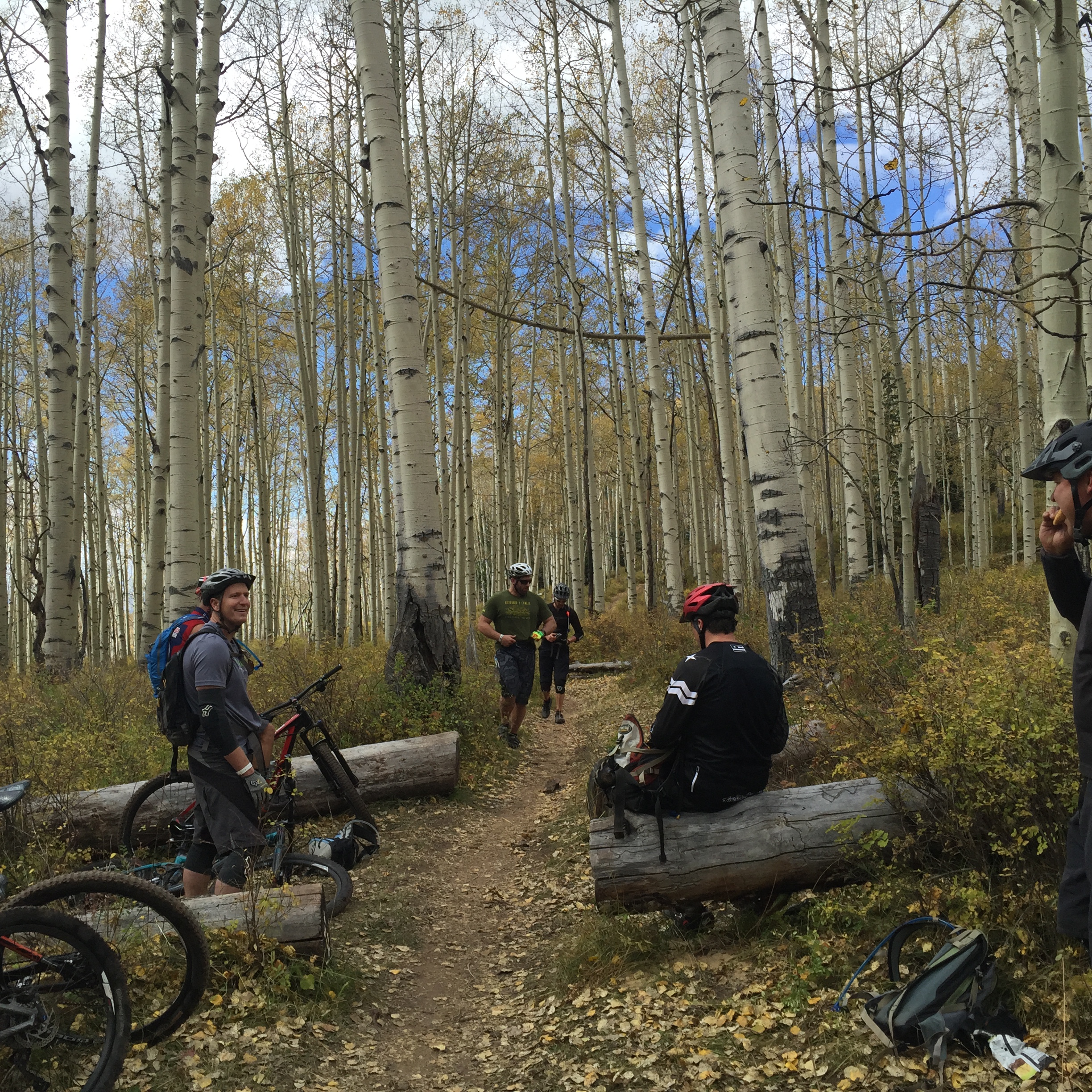 A small group of mountain bikers stopped for a break in a stand of golden aspens, mid-ride.