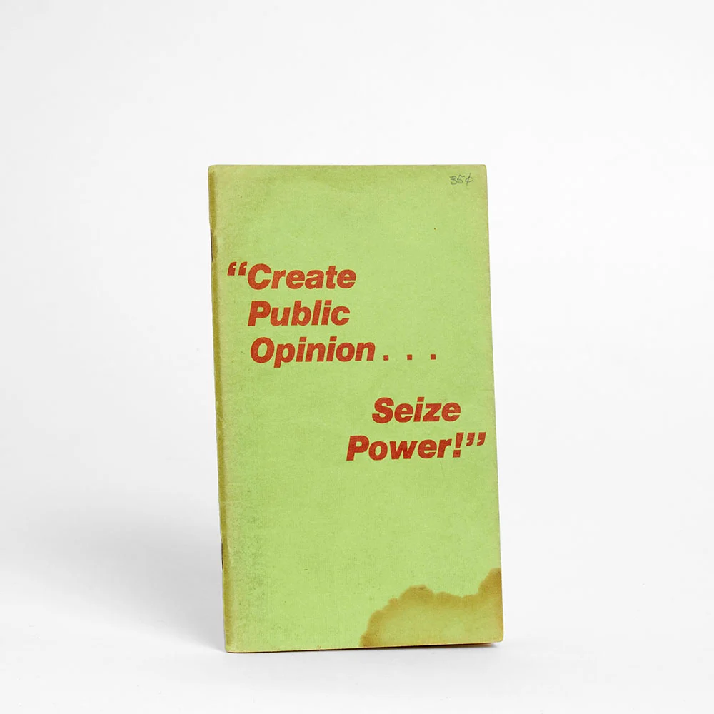 Create Public Opinion… Seize Power!