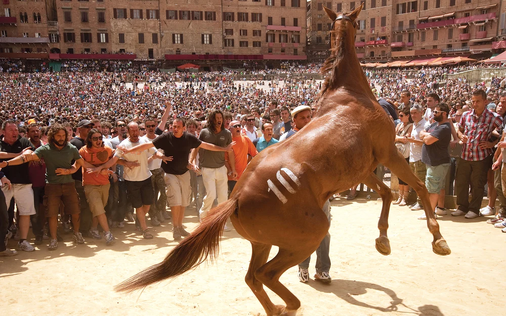 Image from Archimedia's Palio profile