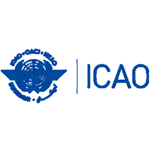 International Civil Aviation Organization (ICAO)
