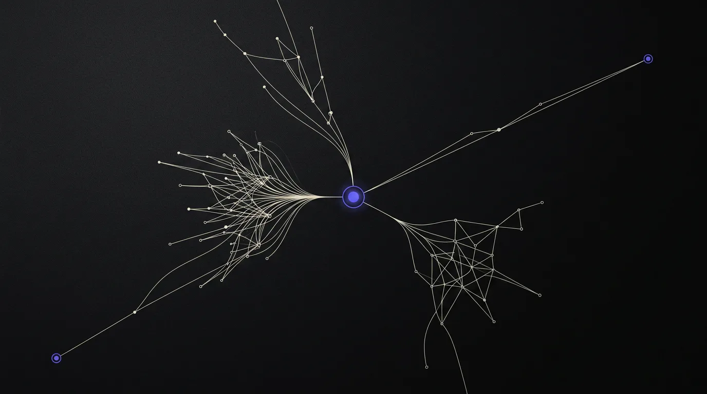 A precise branching system map connecting three operating domains