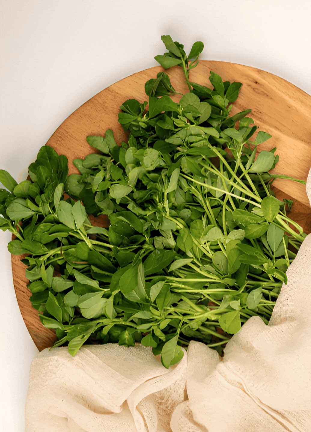 Fenugreek [Methi] gif
