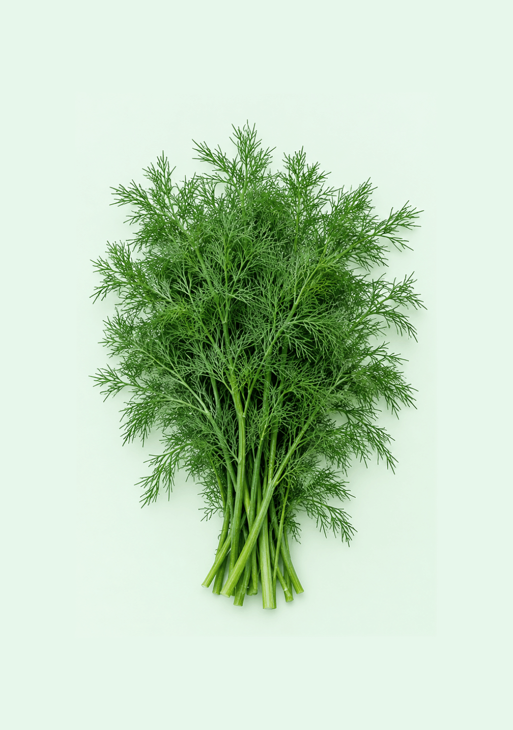 Dill Leaves gif