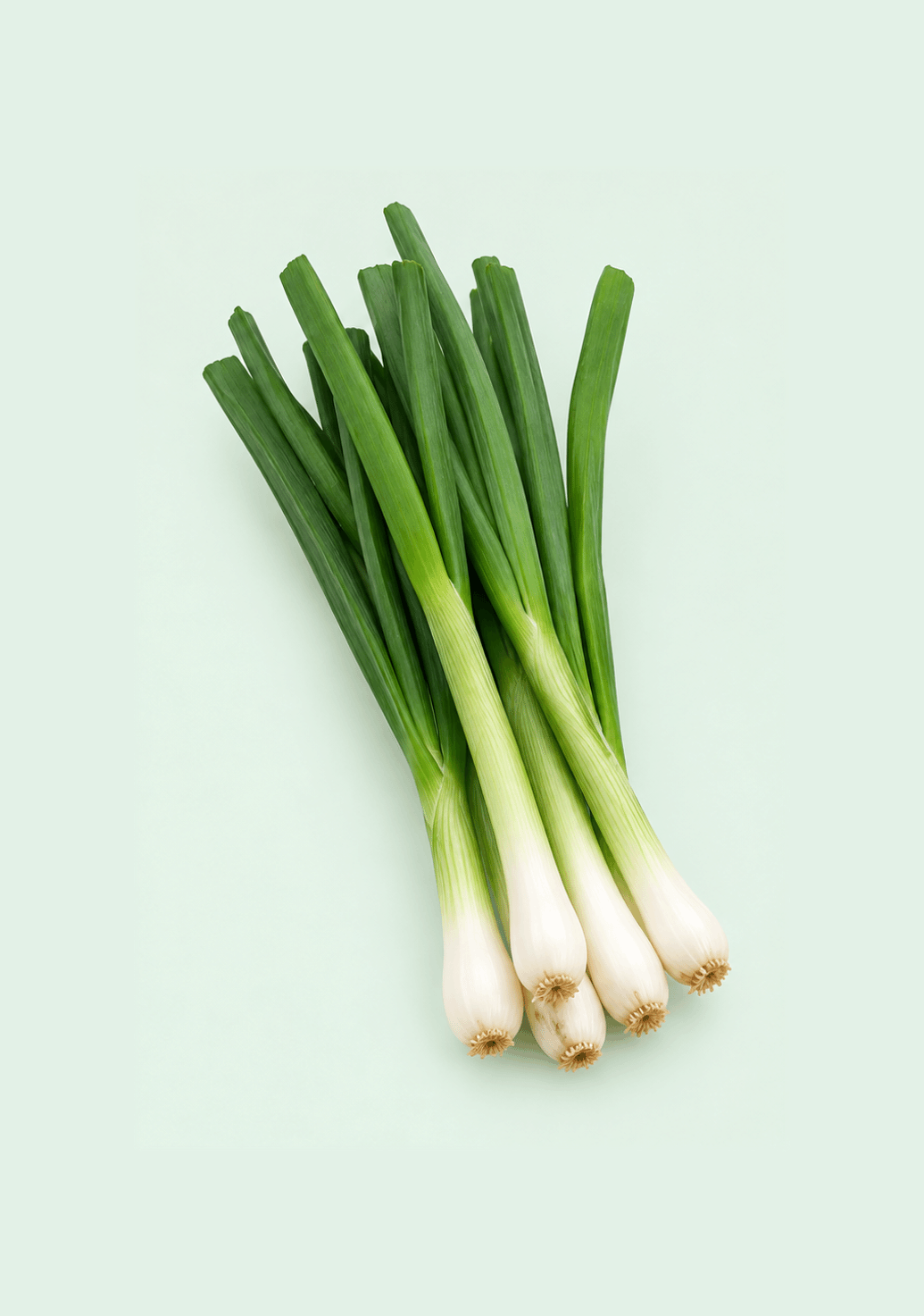 Spring Onion gif