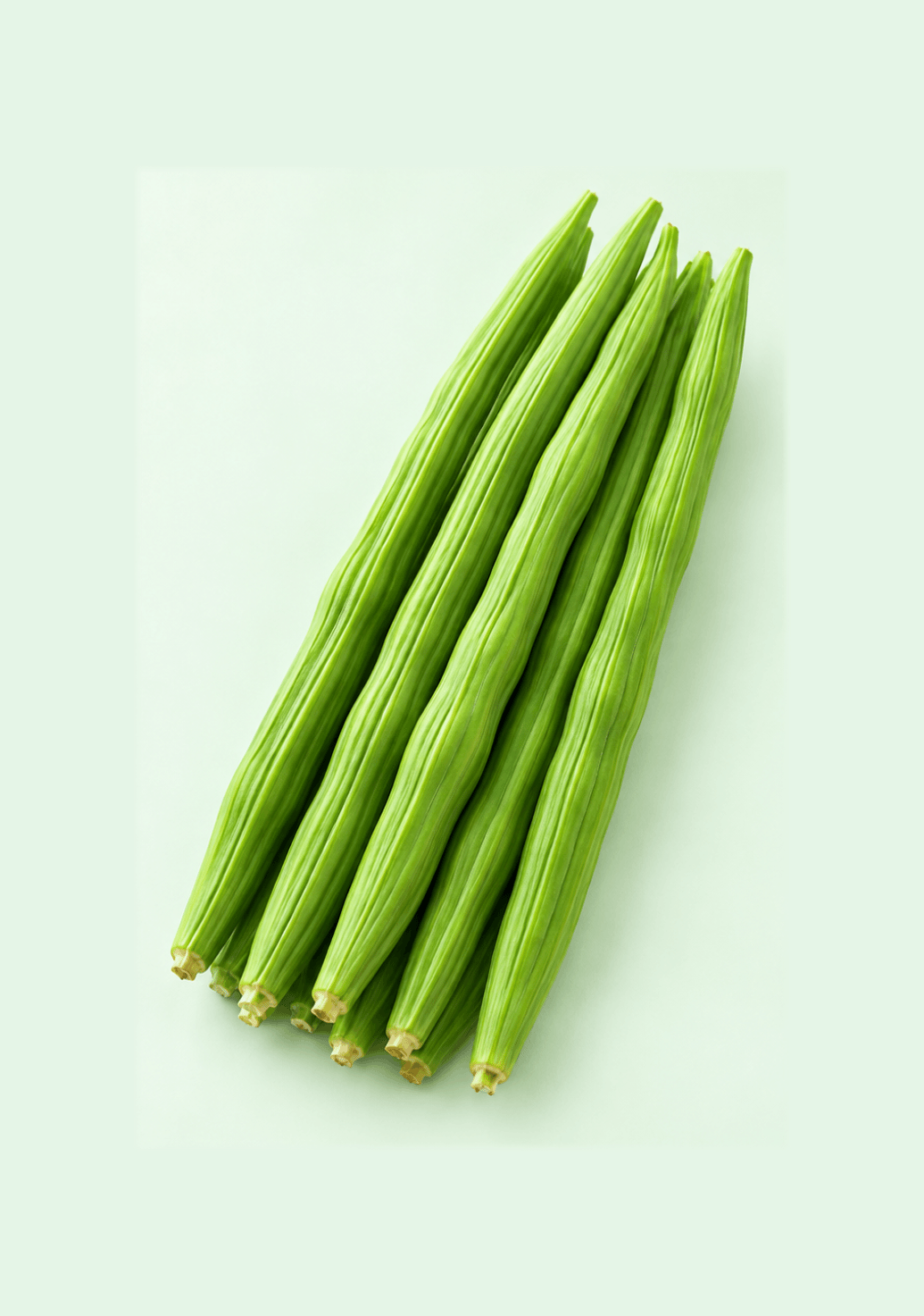Drumstick [Moringa] gif