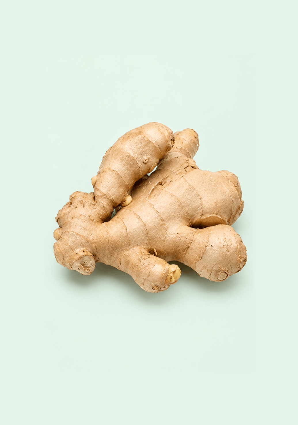 Ginger [Adrak] [Ozone-Washed] gif