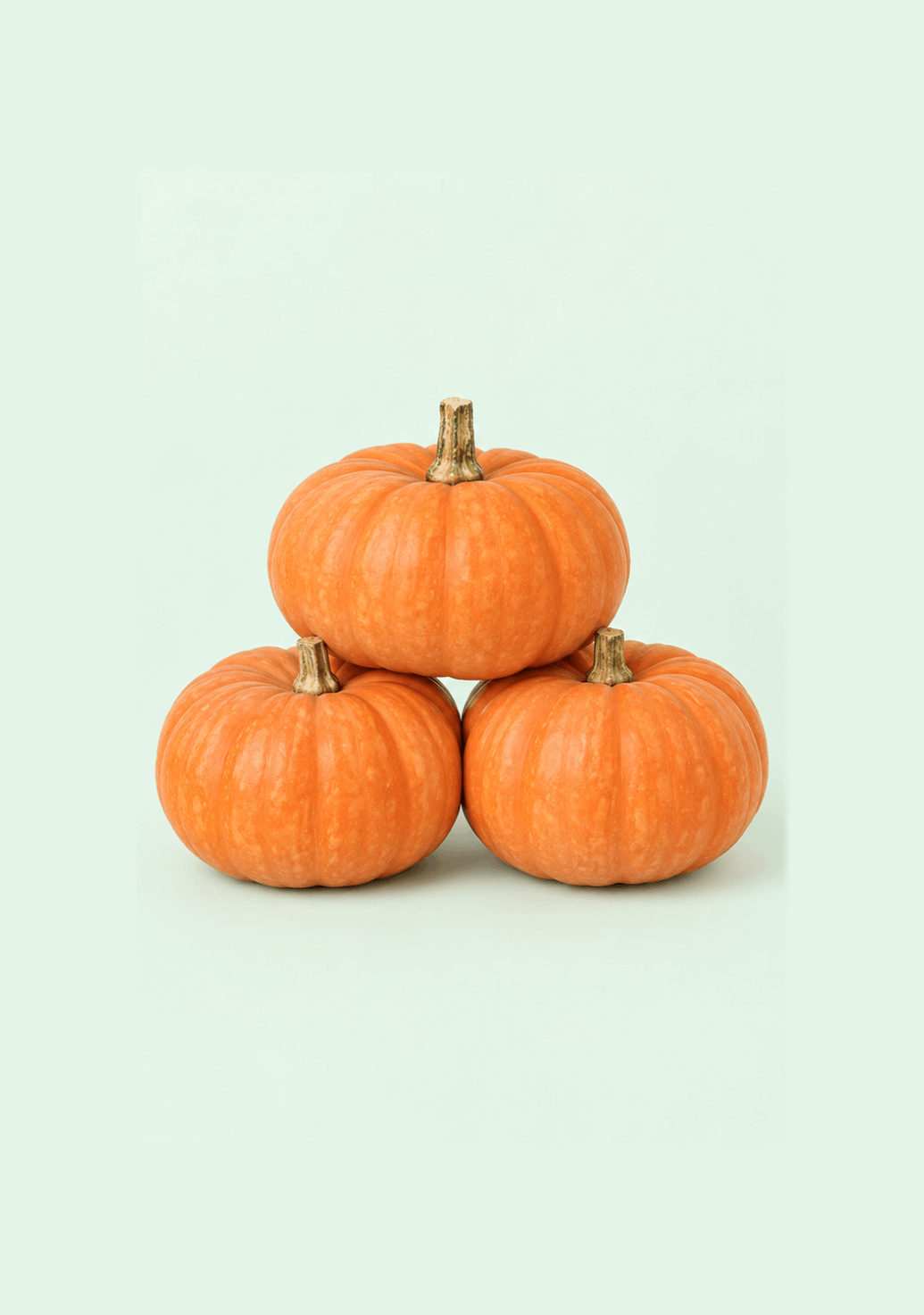 Pumpkin Disco gif