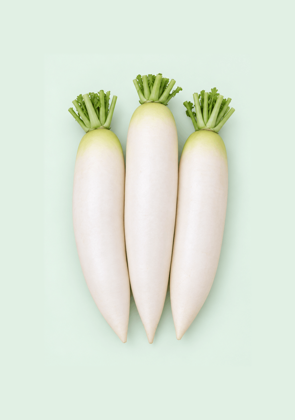Radish [Ozone - Washed] gif