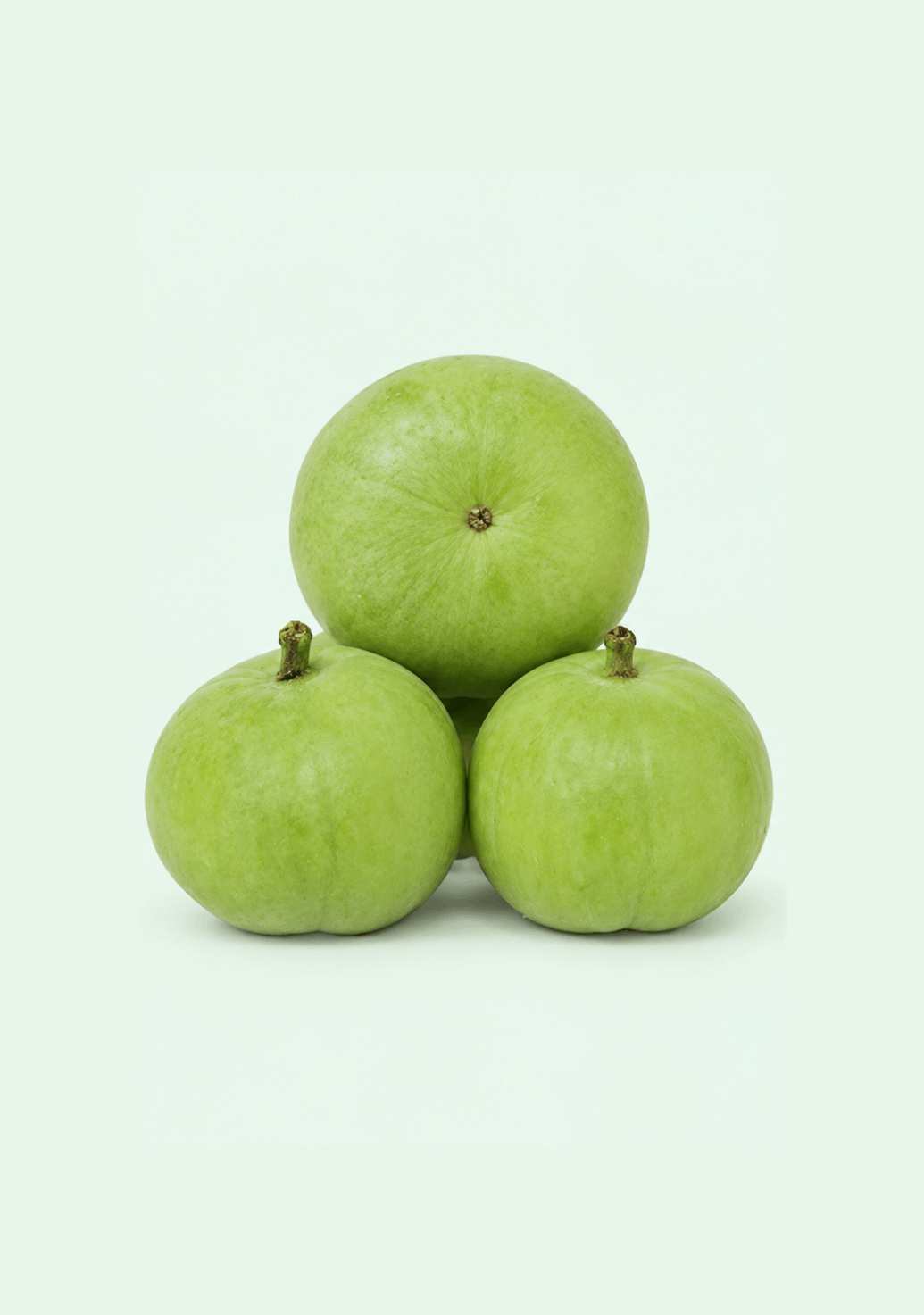 Round Gourd [Tinda] gif