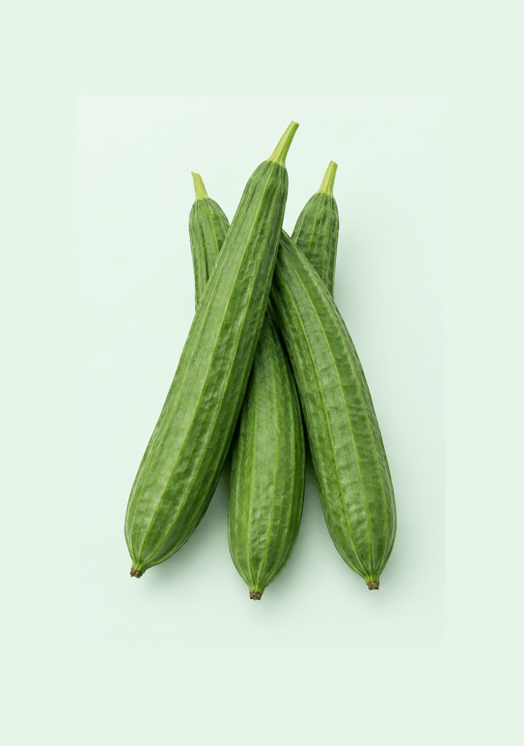 Ridge Gourd [Turai] gif