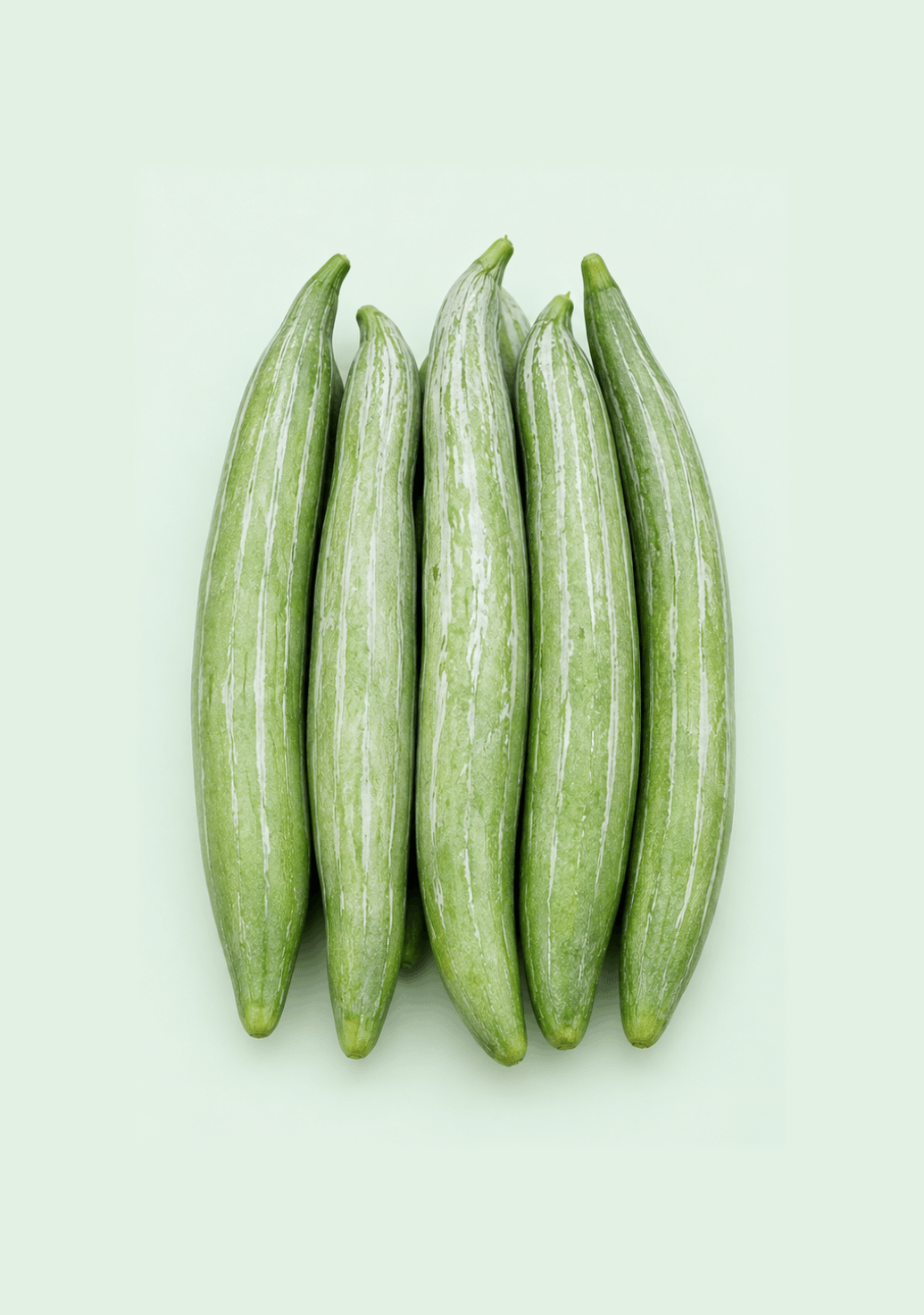 Snake Gourd gif