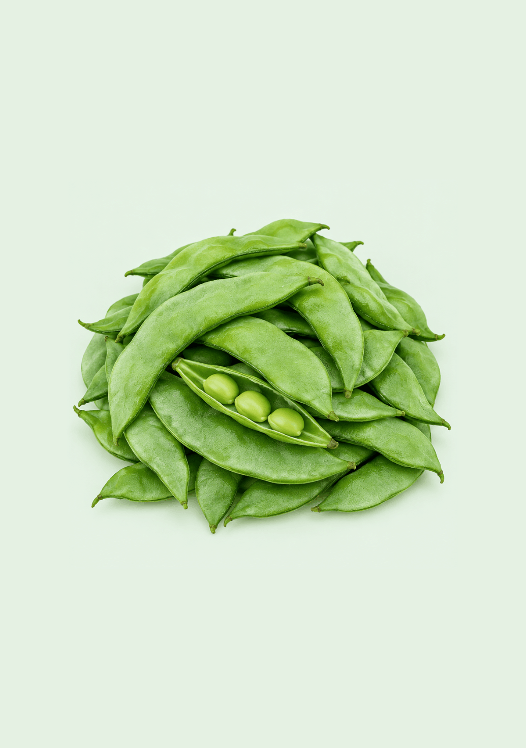 Beans Broad [Chikkidi] gif