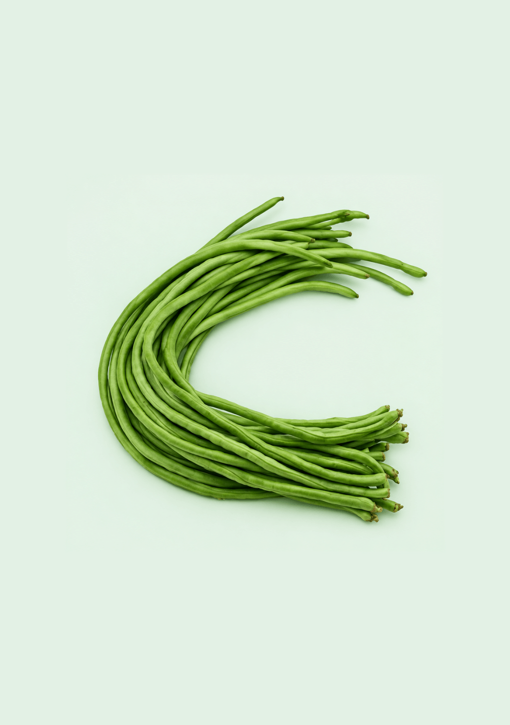 Beans Cowpea [Chauli] gif